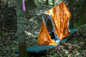 survie en forêt